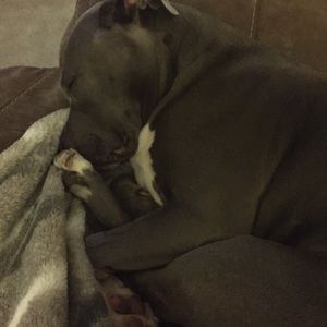 Meet your Posher, Kendra